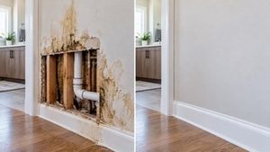 water damage remediation